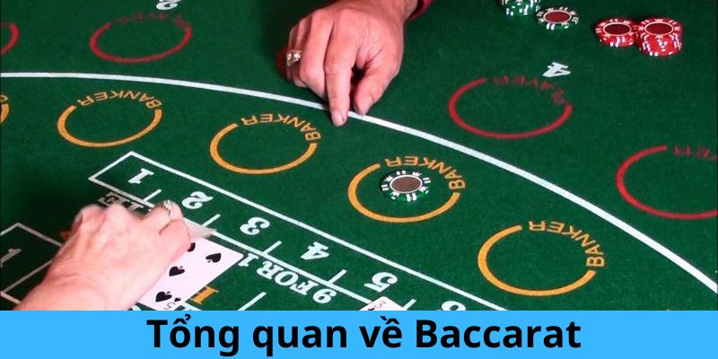 Tổng quát các thông tin về game Baccarat tại THABET 